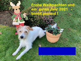 Weihnachtsgrüße von Hombre