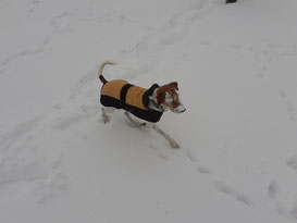 Isabela freut sich über den Schnee