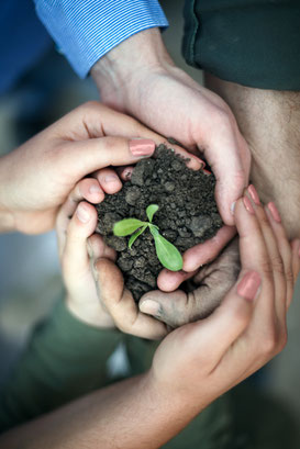 (© LuckyBusiness Photo Studio - Fotolia.com)