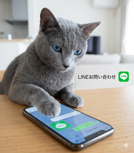 携帯電話を触る猫