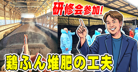 >>>鶏ふん堆肥の工夫