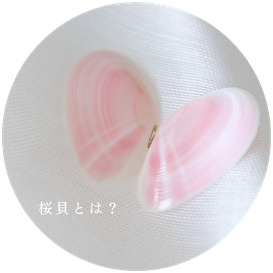 鎌倉の桜貝アクセサリー専門ショップ | Lino Drops Kamakura | 鎌倉