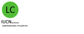 Schutzstatus der Rotdrossel gemäß der Roten Liste der Brutvögel des IUCN, in Deutschland, Österreich und der Schweiz.