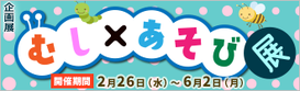 企画展「むし×あそび展」