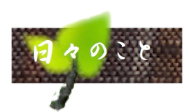 日々のこと　大野純子