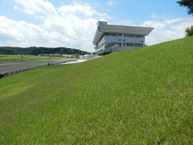 盛岡競馬場,場内散歩その3、トップ画像