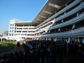 中山競馬場,場内散歩その1,トップ