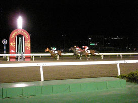 大井 レースコース概要