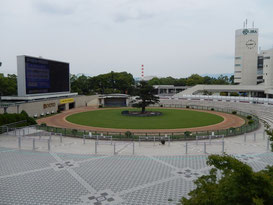 阪神競馬場　トップ