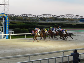 笠松競馬場　レースコース概要