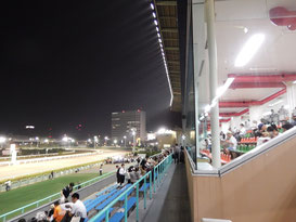 船橋競馬 ハートビートナイター 夜空 スタンド