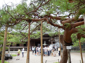 世界遺産をドライブする トップ画像 中尊寺本堂