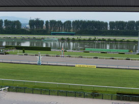 京都競馬場　観戦エリア