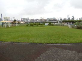大井競馬場 内馬場行こうゼ!その2