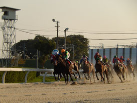 笠松競馬場　トップ