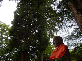 世界遺産 中尊寺