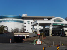 中山競馬場への道