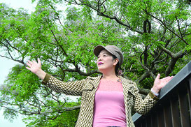 うりずんの季節を迎え、芳香を放つセンダンの木の下で誓いを込め、曲を歌い上げた来間高子さん=6日午後、県立バンナ公園