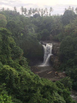 Wasserfall, Waterfall, Bali, Kemenuh, Ubud