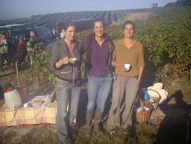 The team of pickers at work in Bouzy