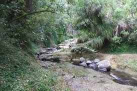 Kaiate Falls, Tauranga, Neuseeland ©