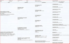 Crazy Like Me Anything Goes (FCI-ÖKV-Pedigree)