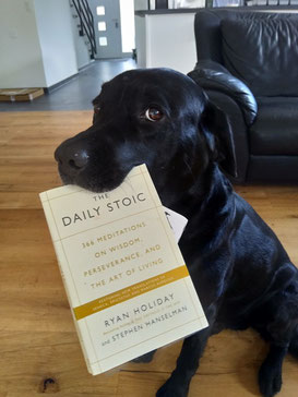 Indy doesn’t actually need this book—he seems to have this whole Stoic philosophy figured out already—but he’s willing to model in exchange for three dog treats.