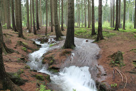 Bild: crawinkler-runde.de