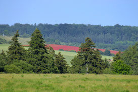 Blick aus Richtung B88 zwischen Frankenhain und Crawinkel/ Bild: crawinkler-runde.de