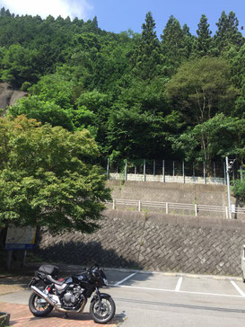 道の駅　甲斐大和　山が高い