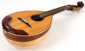 séquence les familles d'instruments cycle 3 mandoline