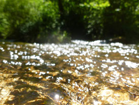 Randonner à Vassivière en Limousin