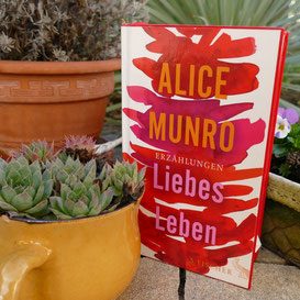 Alice Munro "Liebes Leben"