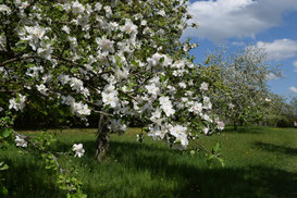 Foto: NABU Göppingen