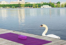 11 awesome Yoga opportunities in Hamburg