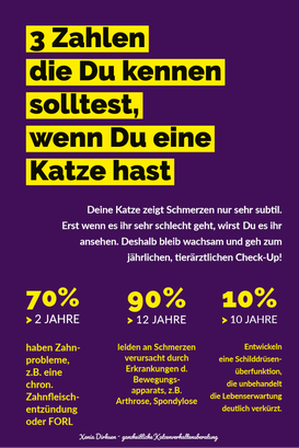 Grafik beschreibt 3 häufige Krankheiten bei Katzen: Zahnerkrankungen, Schilddrüsenüberfunktion und Arthrose