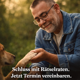 Einsatzgebiet Harz, wir kommen zu Ihnen nach Hause oder in den Stall