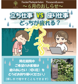 最新ブログ画像