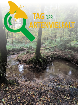 Bärenbachtobel, Foto: NABU Göppingen