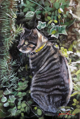 「garden cat」P６号　パステル・アクリル