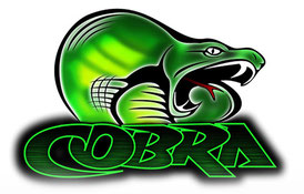cobra-motor-logo