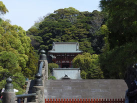 鶴岡八幡宮　