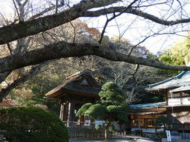 茅葺屋根の鐘楼