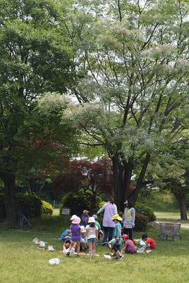 せんだんの木の下で