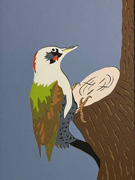 masumi 「アオゲラ」 ¥12,000 彫紙アート 270㎜×340㎜(内寸150㎜×210㎜)