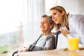 Formation par la voie de l'apprentissage