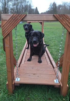 Zwei schwarze Labradorhunde sitzen auf einer hölzernen Hängebrücke, die von Metallketten gehalten wird. Die Brücke steht auf einer grünen Wiese, im Hintergrund sind kahle Bäume und ein bewölkter Himmel zu sehen.
