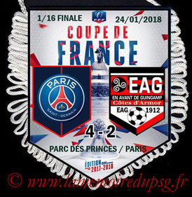 Fanion  PSG-Guingamp  2017-18