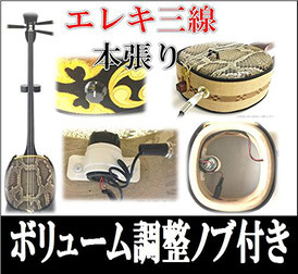 エレキ三線 本張り 音量ノブの画像
