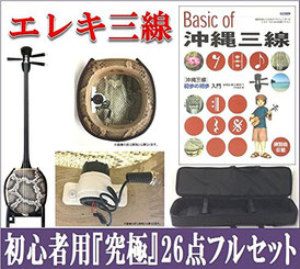 エレキ三線 人工皮 初心者セットの画像